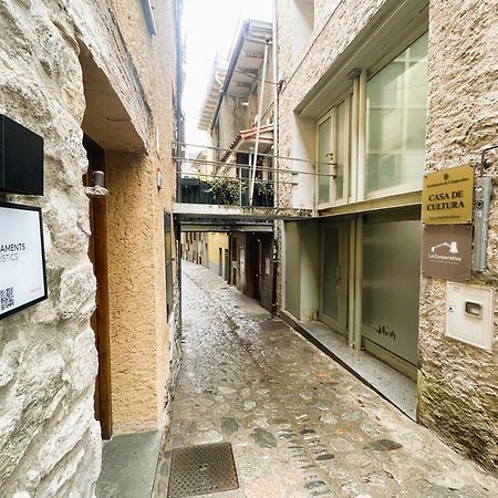 Dúplex con buhardilla en el centro histórico de Camprodon  Exterior foto